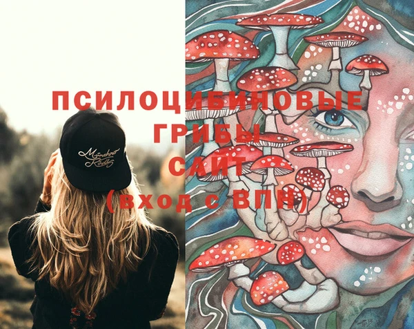 спиды Арсеньев
