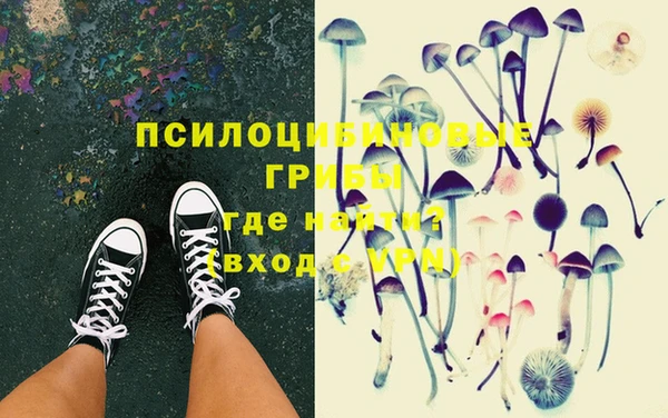 apvp Аркадак