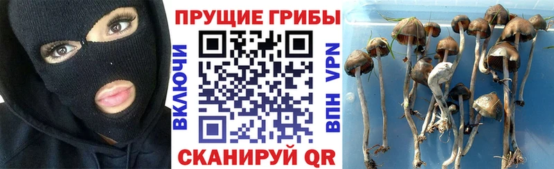 Псилоцибиновые грибы мицелий  Архангельск 